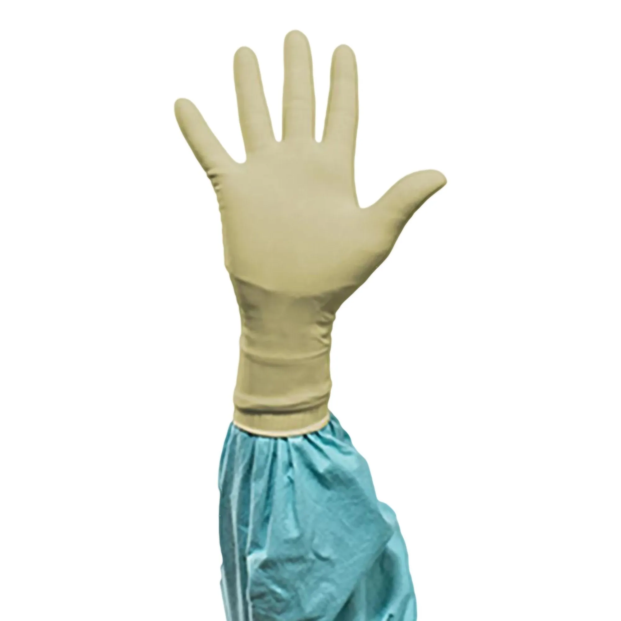 Biogel PI Polyisoprene Surgical Glove, Size 6.5, Straw Color 200/CASE