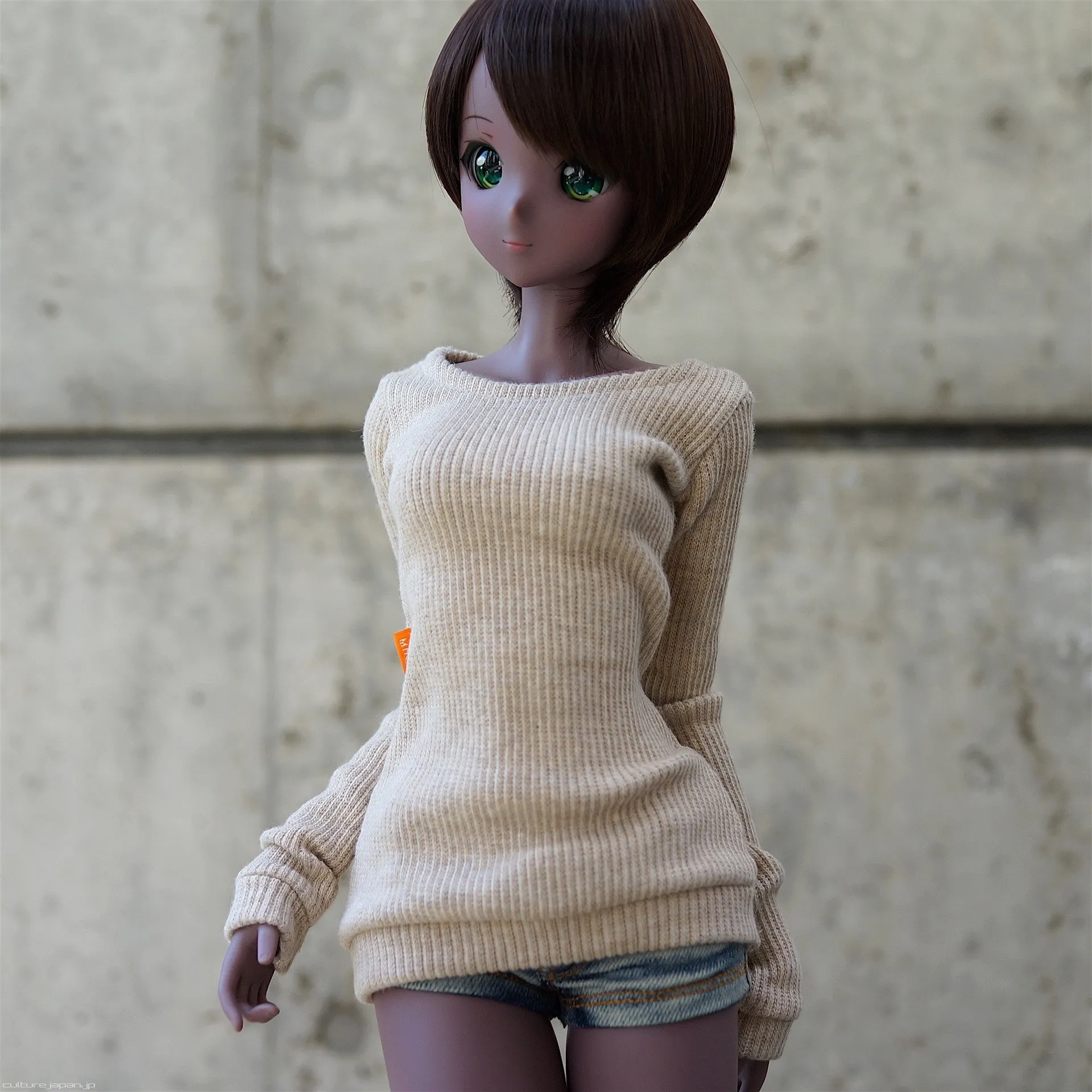 Boatneck Sweater (beige)