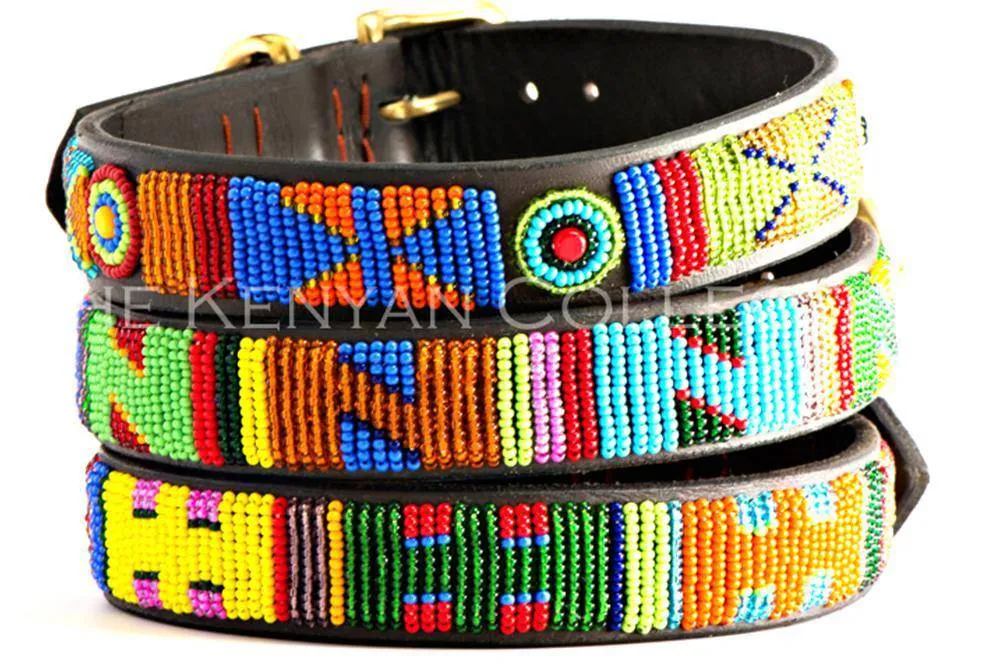 Hippo Circus Belt Wide Width