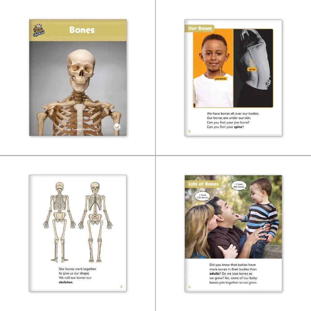 Human Body Theme Set (6-Packs)