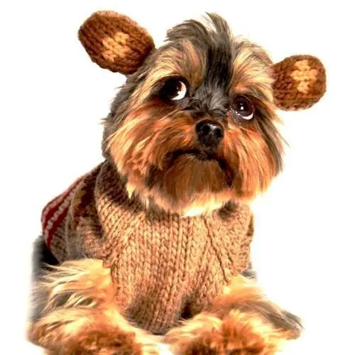 Monkey Hoodie Wool Dog Sweater XS