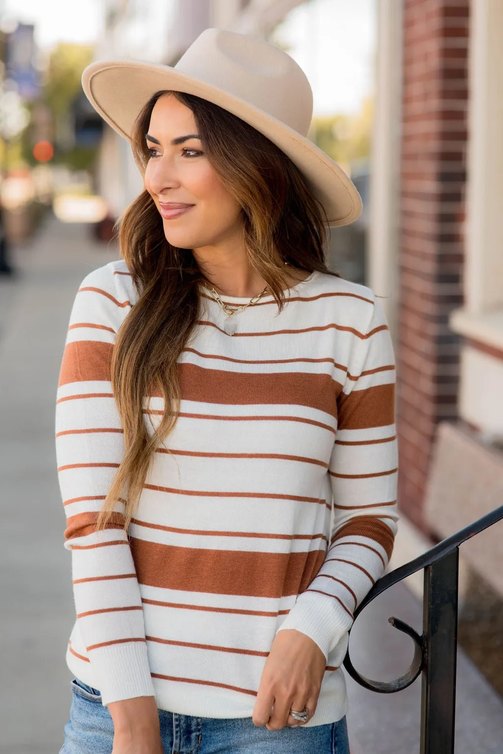 Solid Line Striped Sweater