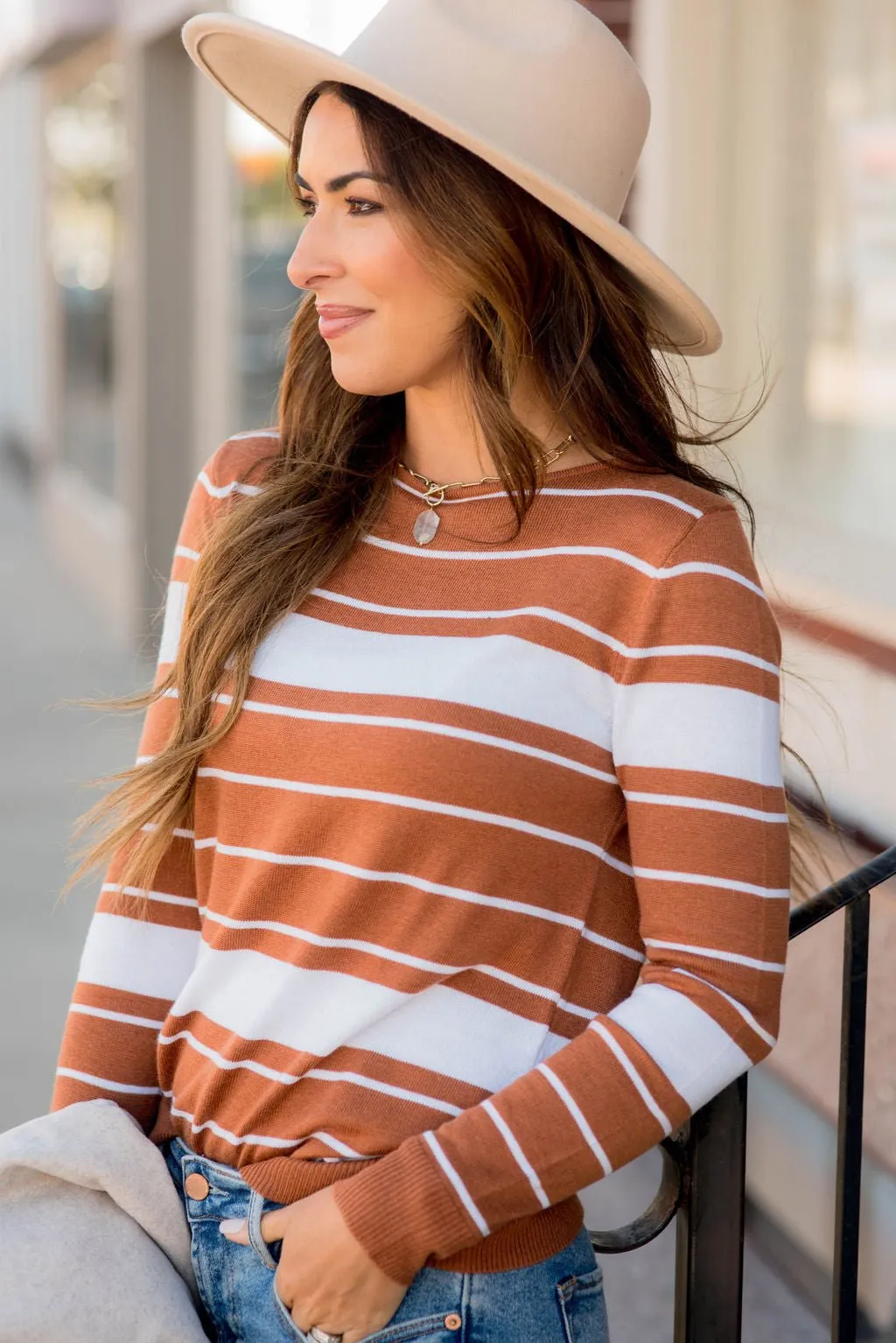 Solid Line Striped Sweater